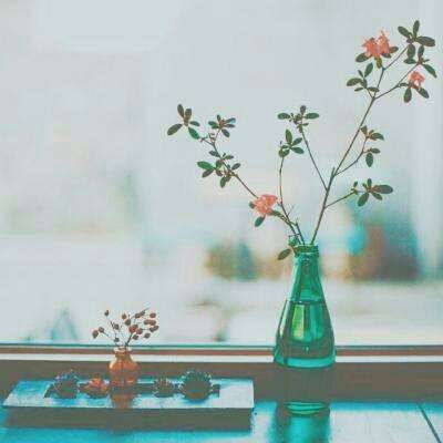 云平台appapp下载截图